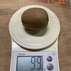 ☆キウイフルーツ小粒〜中玉　1パック【追熟要】②☆の画像