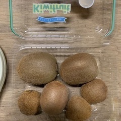 ☆キウイフルーツ小粒〜中玉　1パック【追熟要】②☆の画像