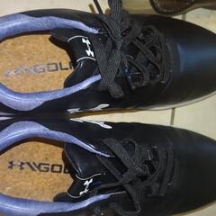 値下げ アンダーアーマーゴルフシューズ28㎝の画像