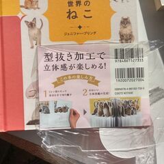『ねこ（いろんな猫たち）　』
