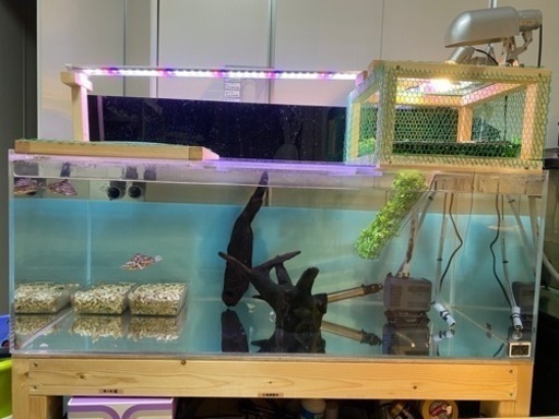 1200水槽セット‼️大幅値下げ‼️