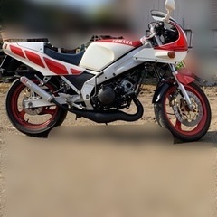 希少TZR250の画像