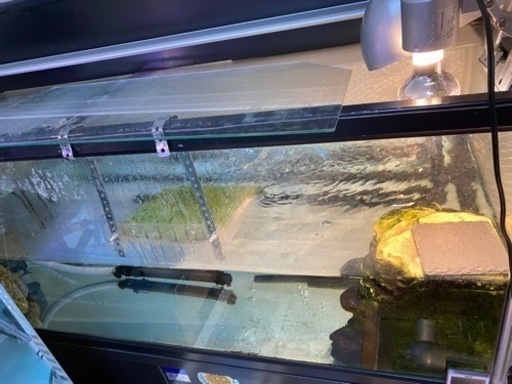 1200ガラス水槽セット値下げ価格‼️