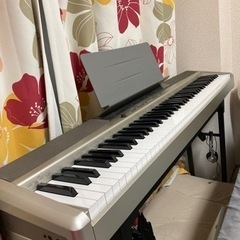 CASIO Privia PX-120