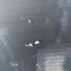 【ドタキャンで再募集】ソーラーパネル　巨大の画像