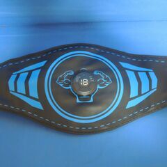 EMS 腹筋 ベルトの画像