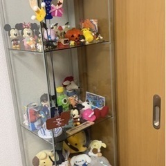 コレクションケース,の画像