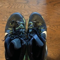 バッシュの画像