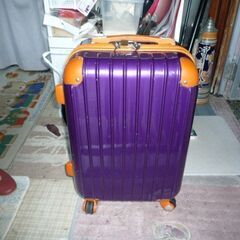 無料０円差し上げます！ソフトキャリーバック　中古