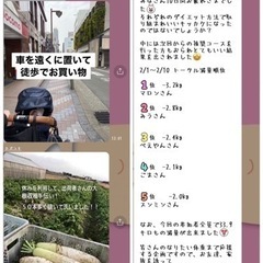 春の10日間ダイエットチャレンジ - その他