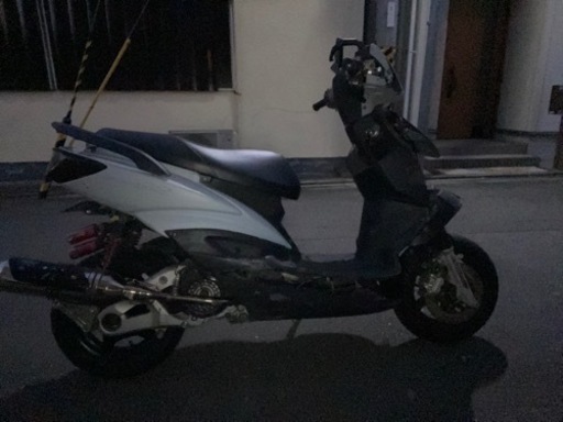 シグナス　二型　2型