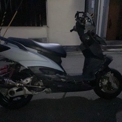 シグナス　二型　2型