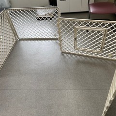 【決まりました】犬用フェンス ドッグフェンス 使用感あり