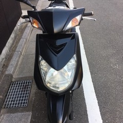 シグナス2型