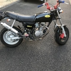 エイプ100 モンキー　ゴリラ　ダックス　シャリー