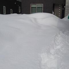 【除雪】ご自宅の除雪承ります。