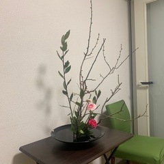 Let's ikebana! 調布駅前 生け花教室開講！の画像