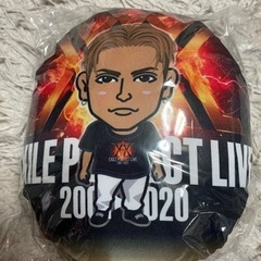 SHOKICHI PERFECTLIVE ミニクッション