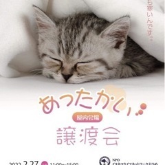 2/27(日) 保護犬・保護猫譲渡会『あったかい譲渡会』に参加い...