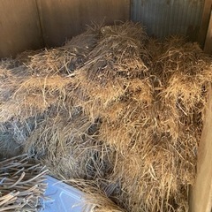 引き取り限定　稲藁差し上げます。
