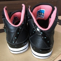 グラビス 25センチの画像