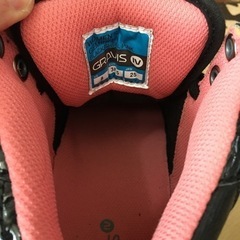 グラビス 25センチの画像