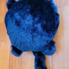 黒猫しっぽ遊びの画像