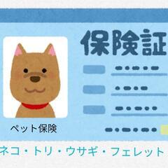 ☪️損しない損害保険選び🏢の画像