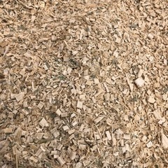 粉砕機　チッパー　シュレッダー　レンタル　伐採も可能 - 貸したい