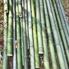 粉砕機　チッパー　シュレッダー　レンタル　伐採も可能 - 助け合い