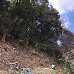 お庭、竹林、里山　綺麗にします。
