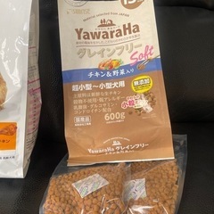 ドッグフード値下げ！の画像