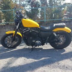 ハーレーダビッドソン　2011年式XL883N
