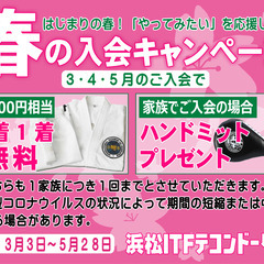 春の入会キャンペーン開催中　浜松ITFテコンドークラブ