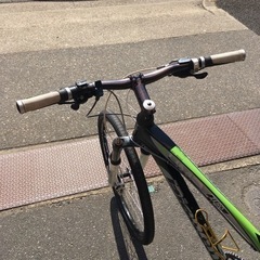 S118前オーナーカスタム品★マウンテンバイク★BIANCHI★ビアンチ★EN14766の画像