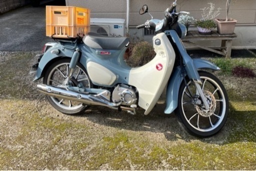 ホンダ　スーパーカブ　c125  パールカデットグレー