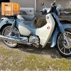 ホンダ　スーパーカブ　c125  パールカデットグレー