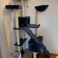キャットタワーの画像