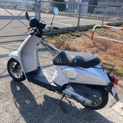 ホンダ トゥデイ 原付 50cc バイクの画像