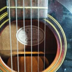 アコースティックギター【Epiphone/Aj-10/vs】の画像