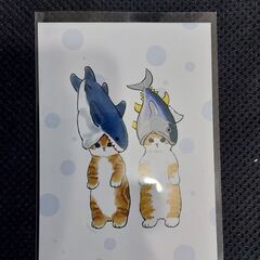 飛び猫合同会社ポストカード 2種【新品】の画像