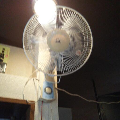 壁掛け扇風機