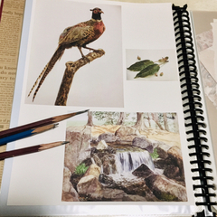 一緒に写生に行ったり、絵やものづくりの話ができる方
