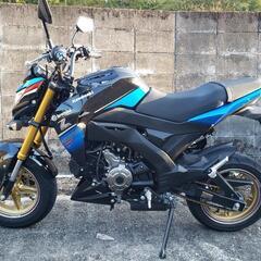 Z125PRO