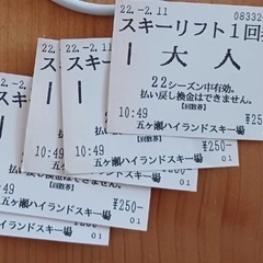 五ヶ瀬ハイランドスキー場リフト回数券（大人5枚子供11枚）の画像