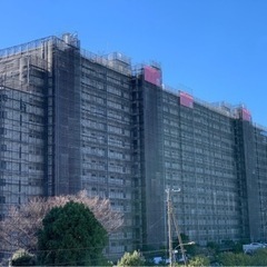 東京府中　足場鳶工　従業員募集中！の画像