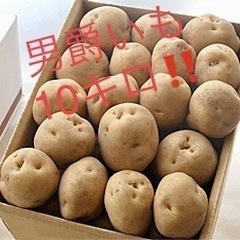 男爵いも10キロ❗️