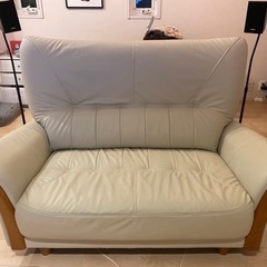 ジーノ2Pソファー