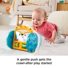 おもちゃ　感覚を育てる  FSC認証取得/BPAフリーの画像