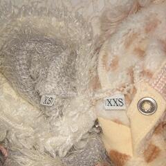 パピーちゃん服、秋冬の画像